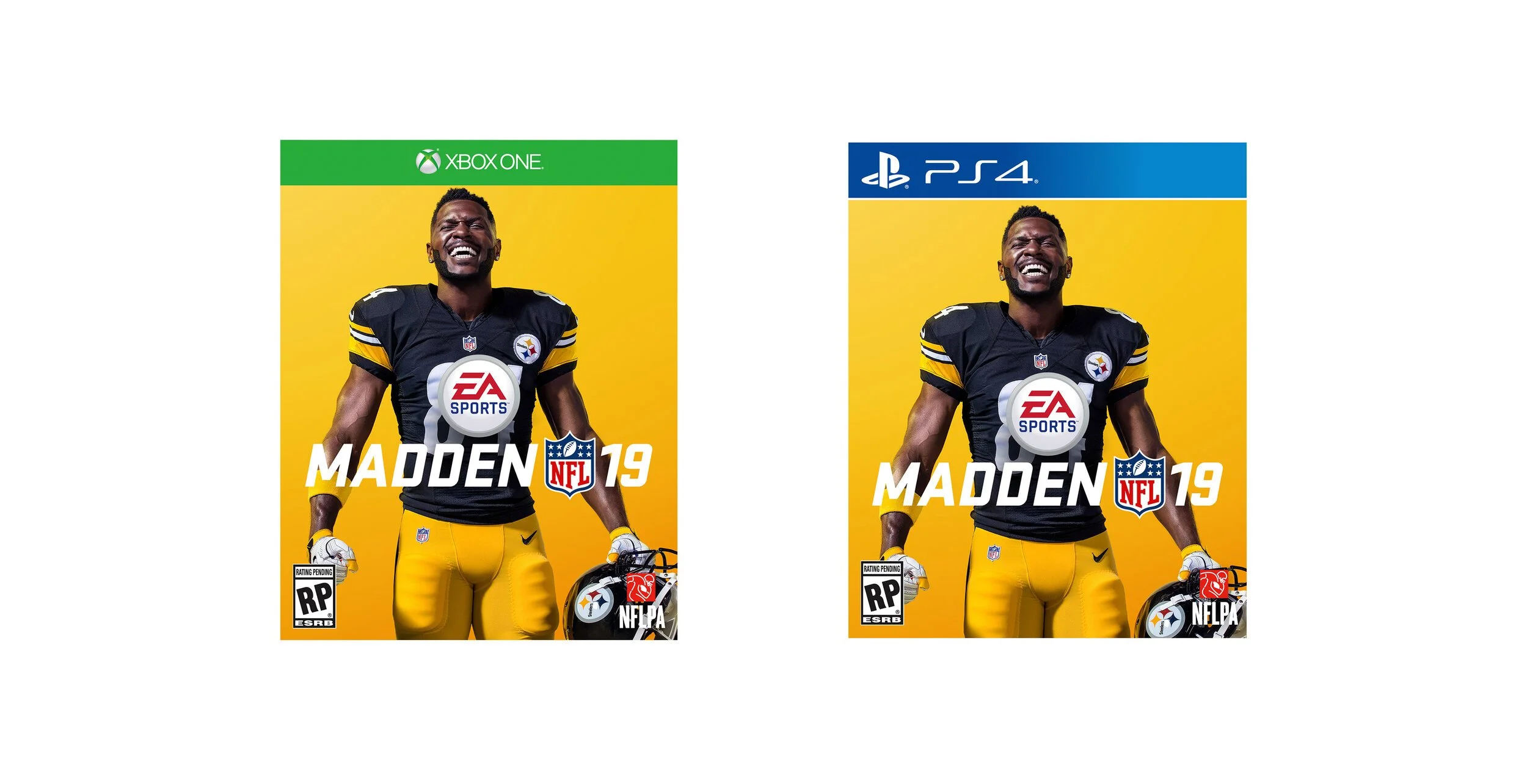 DonnaRoggi-Madden19pack.jpg