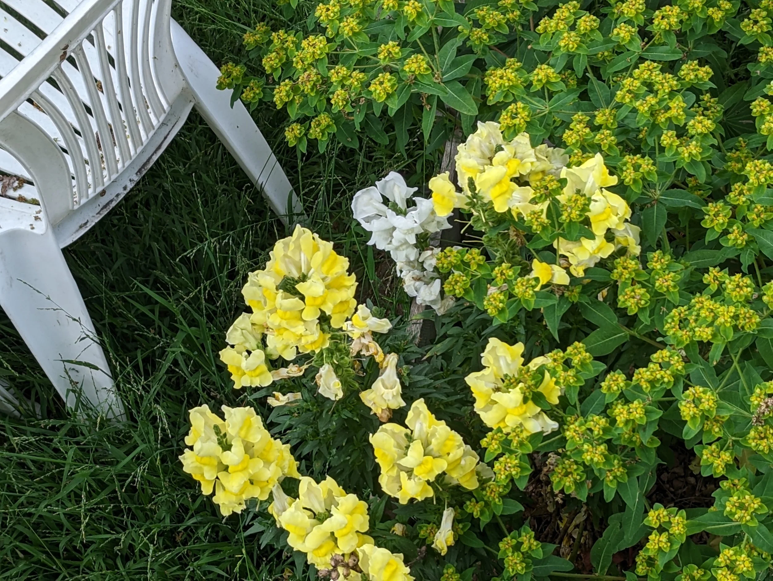 PXL_20230606_011342974.jpg