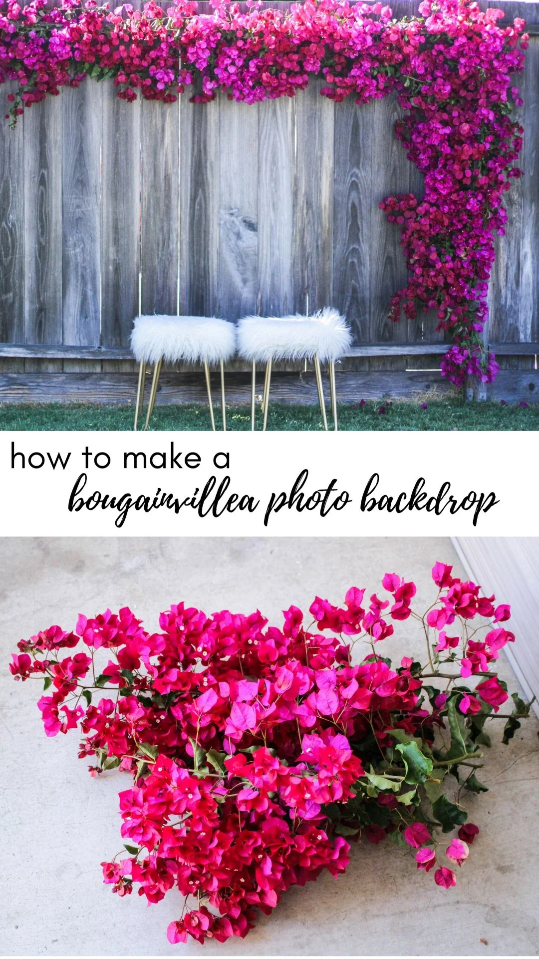 Bougainvillea Photo Backdrop \\  www.crystalcara.com