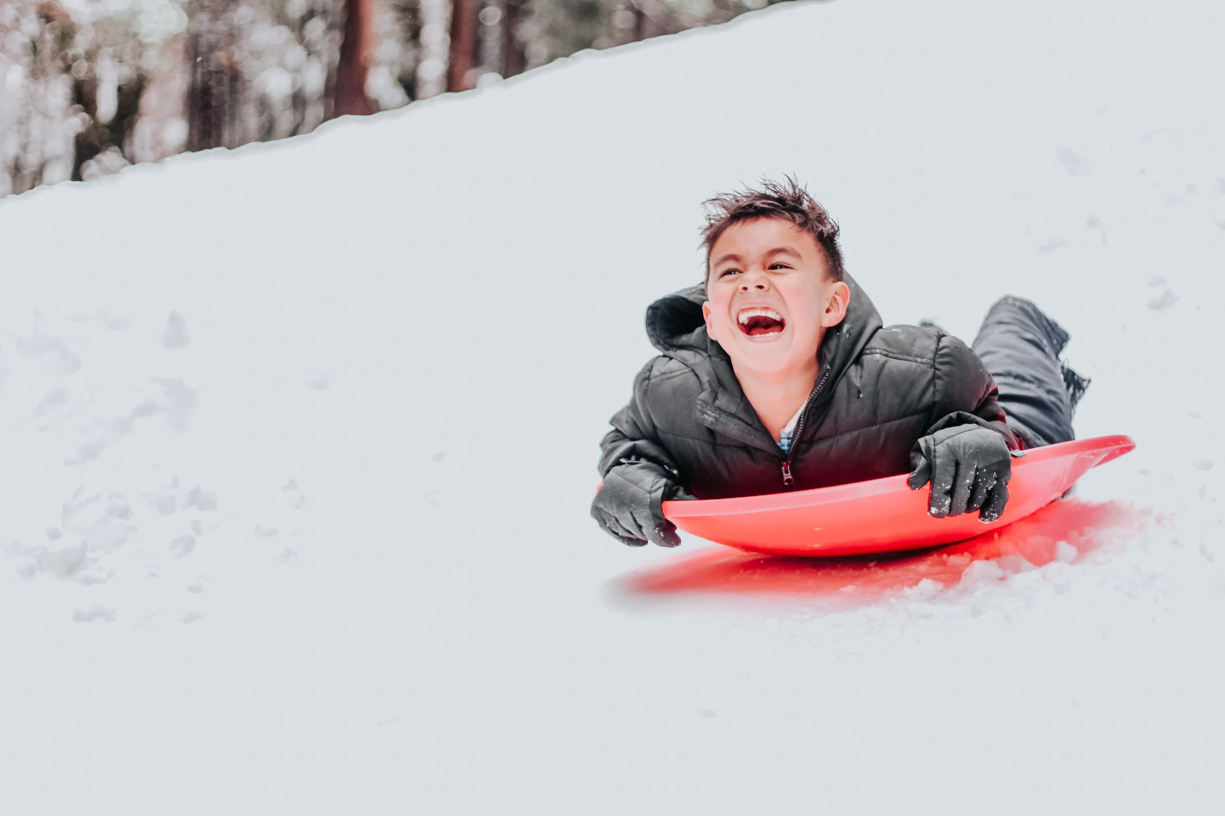 sledding area near horse stables