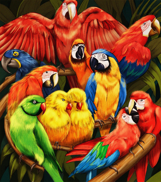 parrots_1024x1024_grande.jpg