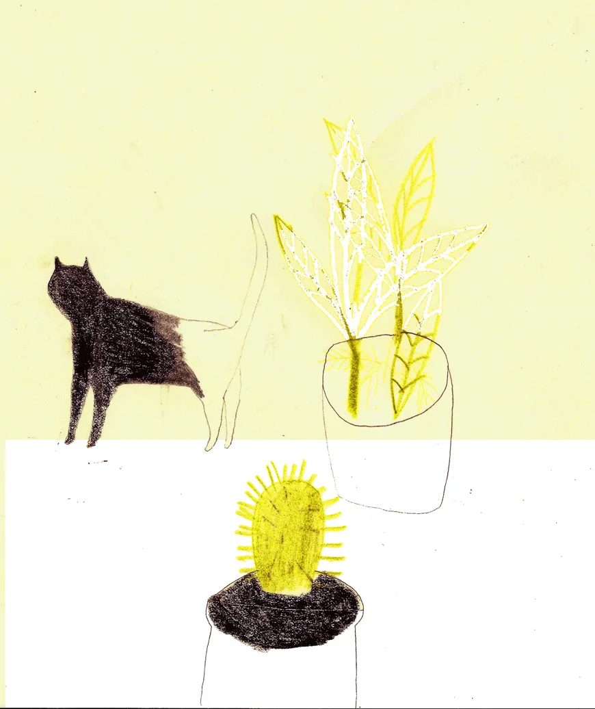 1_Kelly_thompson_illustration_art_blog_Romina_quiros.jpg