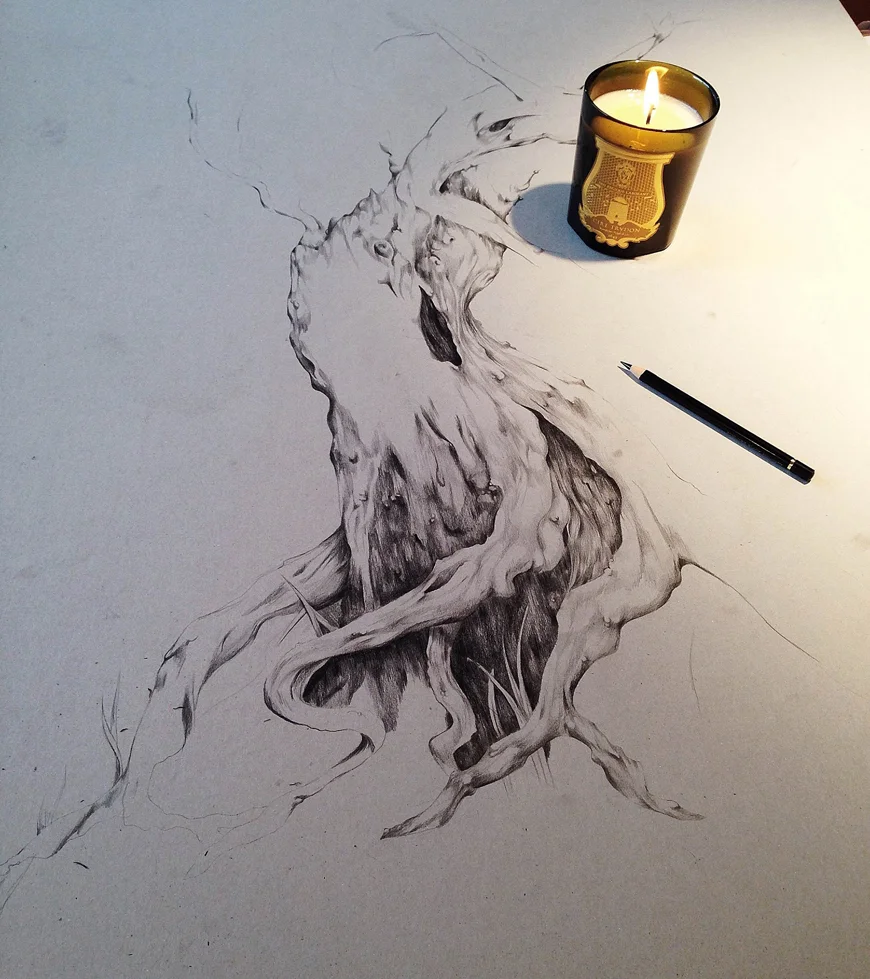 1_tree_botanical_pencil_sketch_Kelly_thompson_art_illustration_drawing_illustrator_blog.jpg