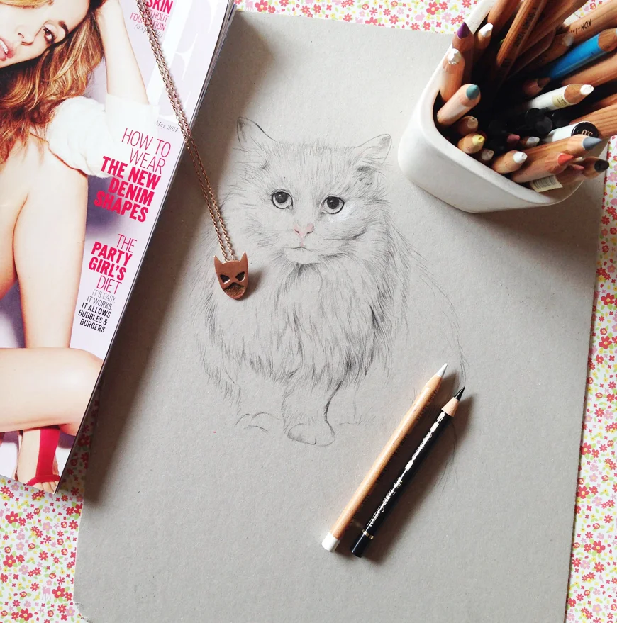 cat_Kelly_thompson_art_illustration_drawing_illustrator_blog.jpg