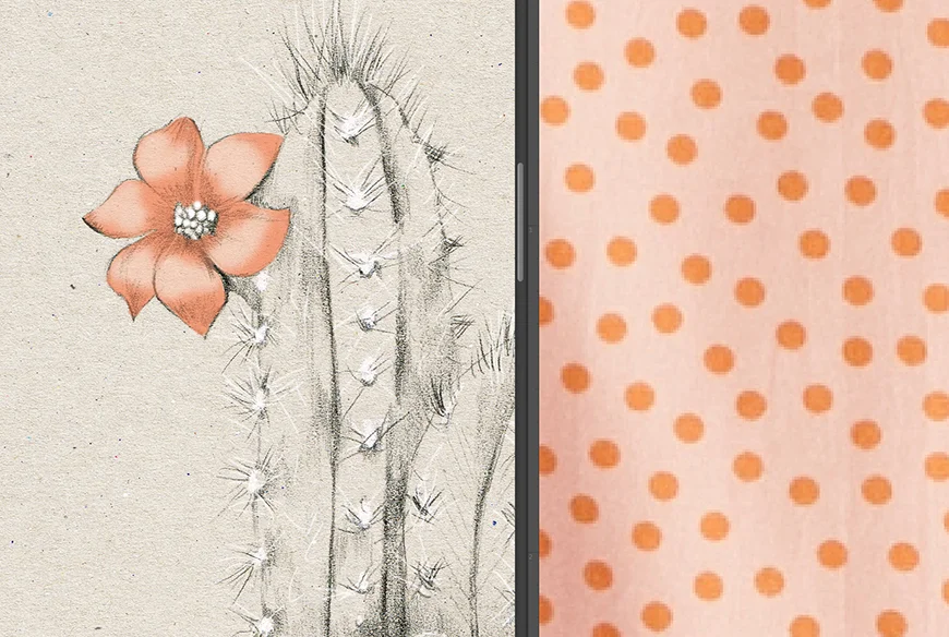 2_Kelly_thompson_Ruby_dreamers_illustration_cactus.jpg