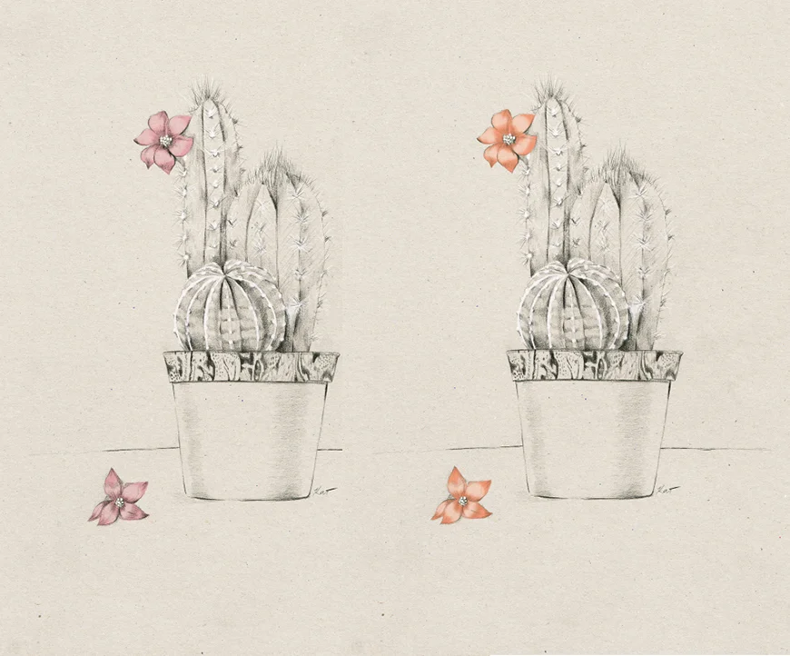 4_Kelly_thompson_Ruby_dreamers_illustration_cactus.jpg