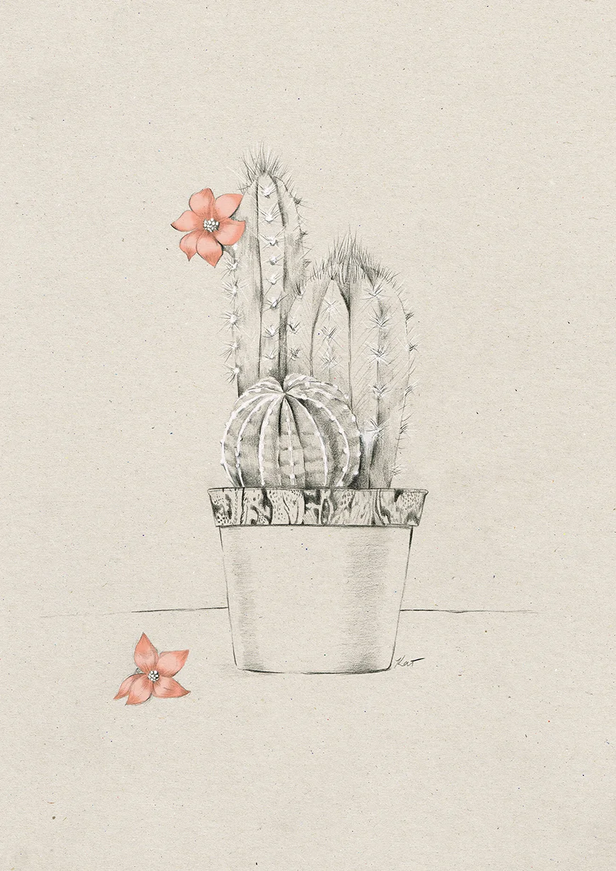 final_Kelly_thompson_Ruby_dreamers_illustration_cactus.jpg