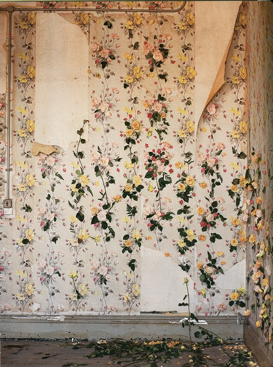 Kelly_thompson_blog_rose_wallpaper_peeling.jpg