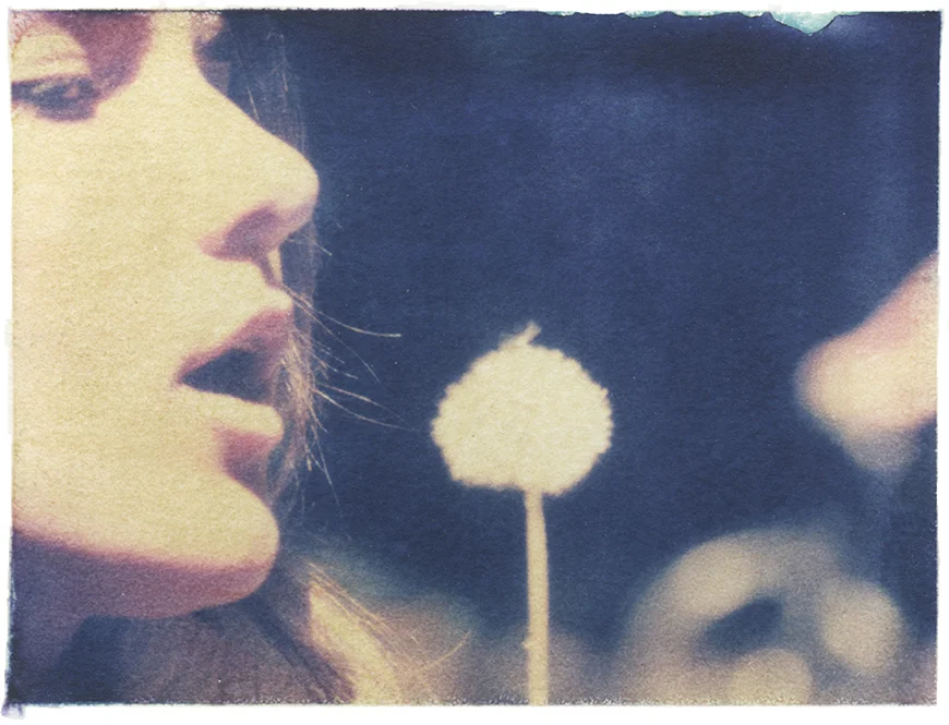 dandelion_kelly_thompson_blog_polaroid_blossoms.jpg