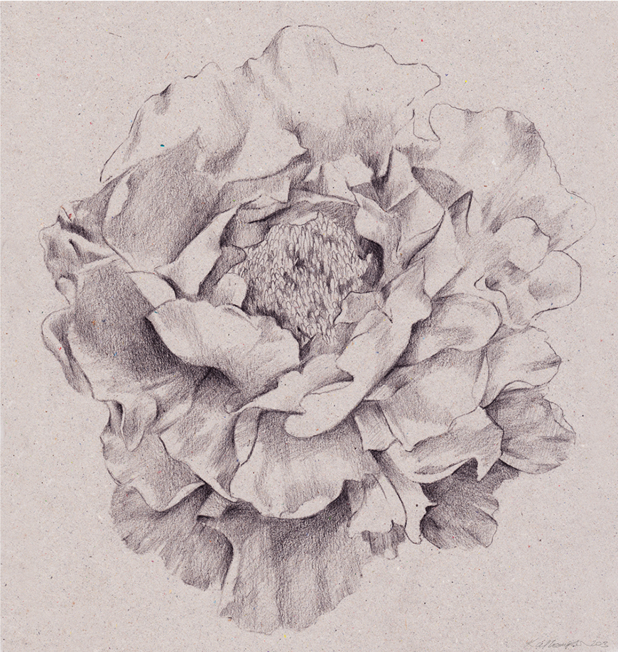 8-Kelly-thompson-andrew-archer-UNA-blog-blogger-art-design-studio-melbourne-illustration-illustrator.jpg
