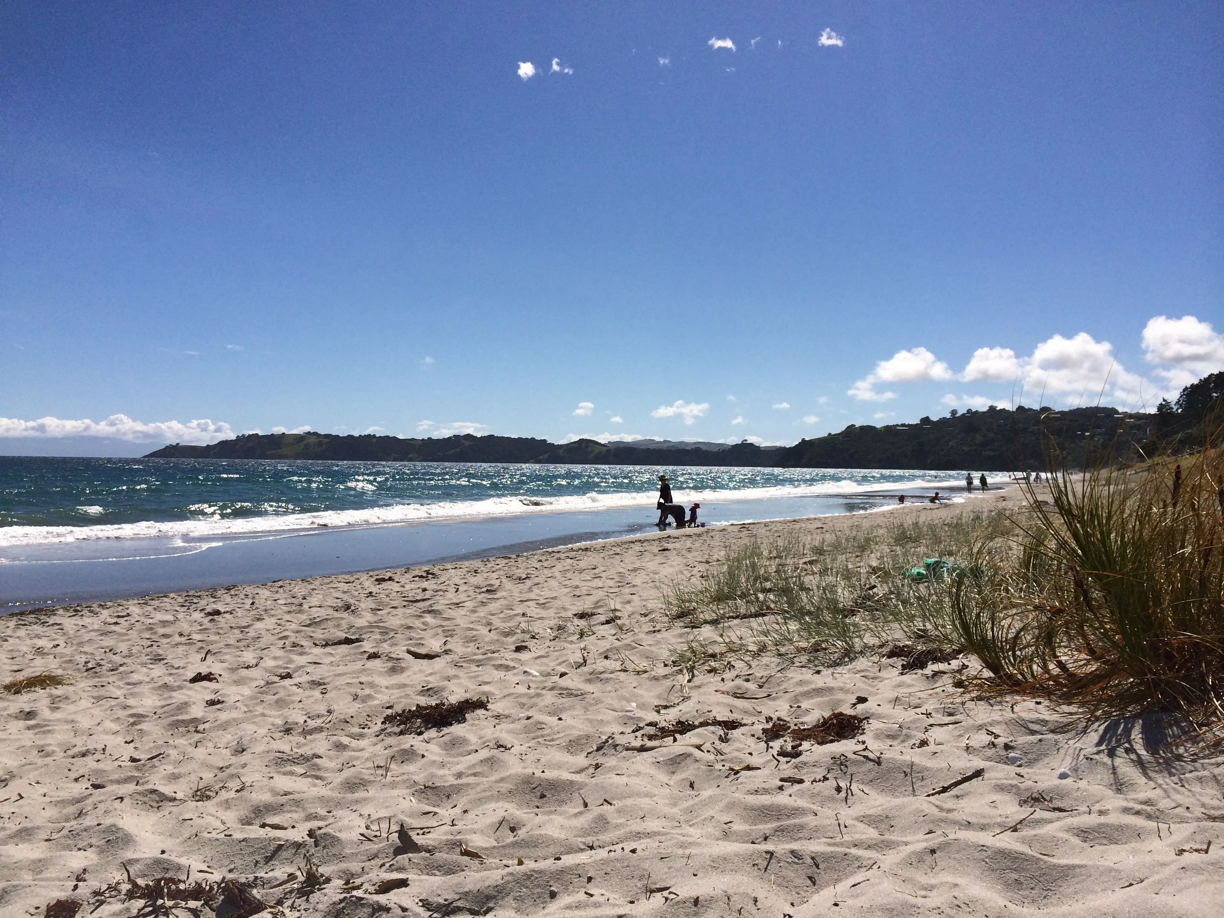 Best Things to do on Waiheke
