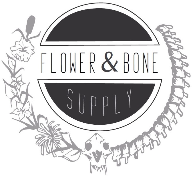 LOGO.jpg