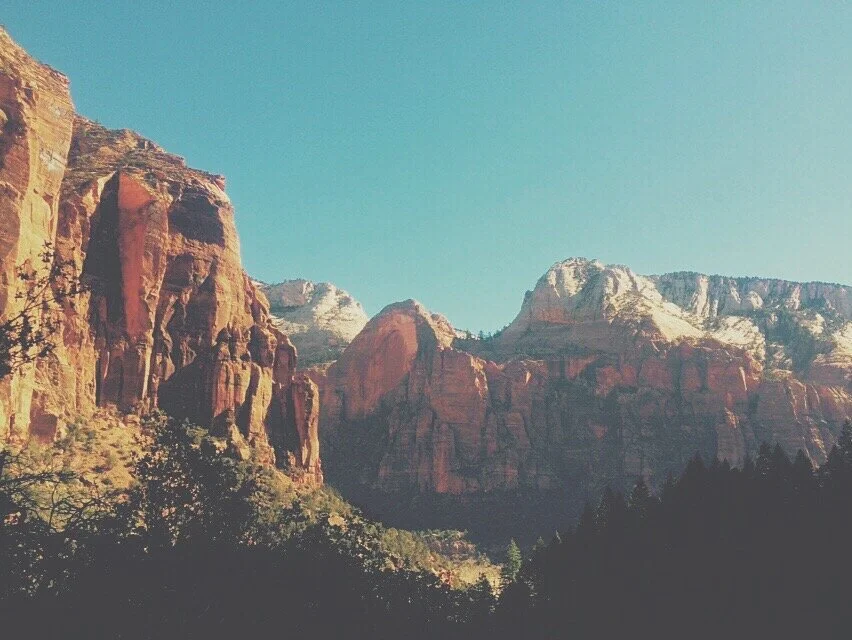 Flower & Bone Supply