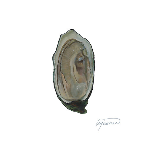 Neptune Oyster