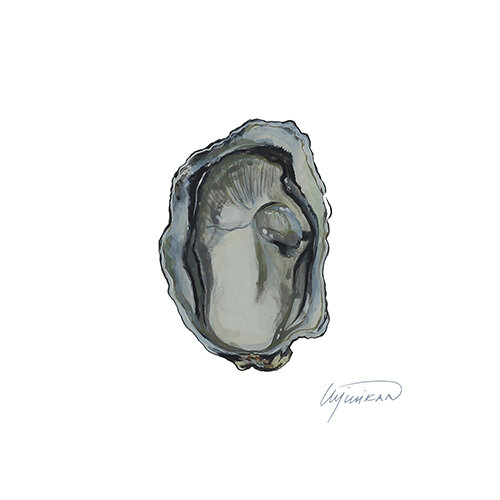 Oronga Bay Oyster