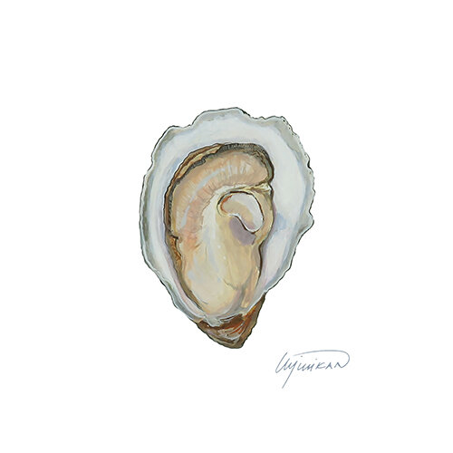 Hog Island Atlantic Oyster