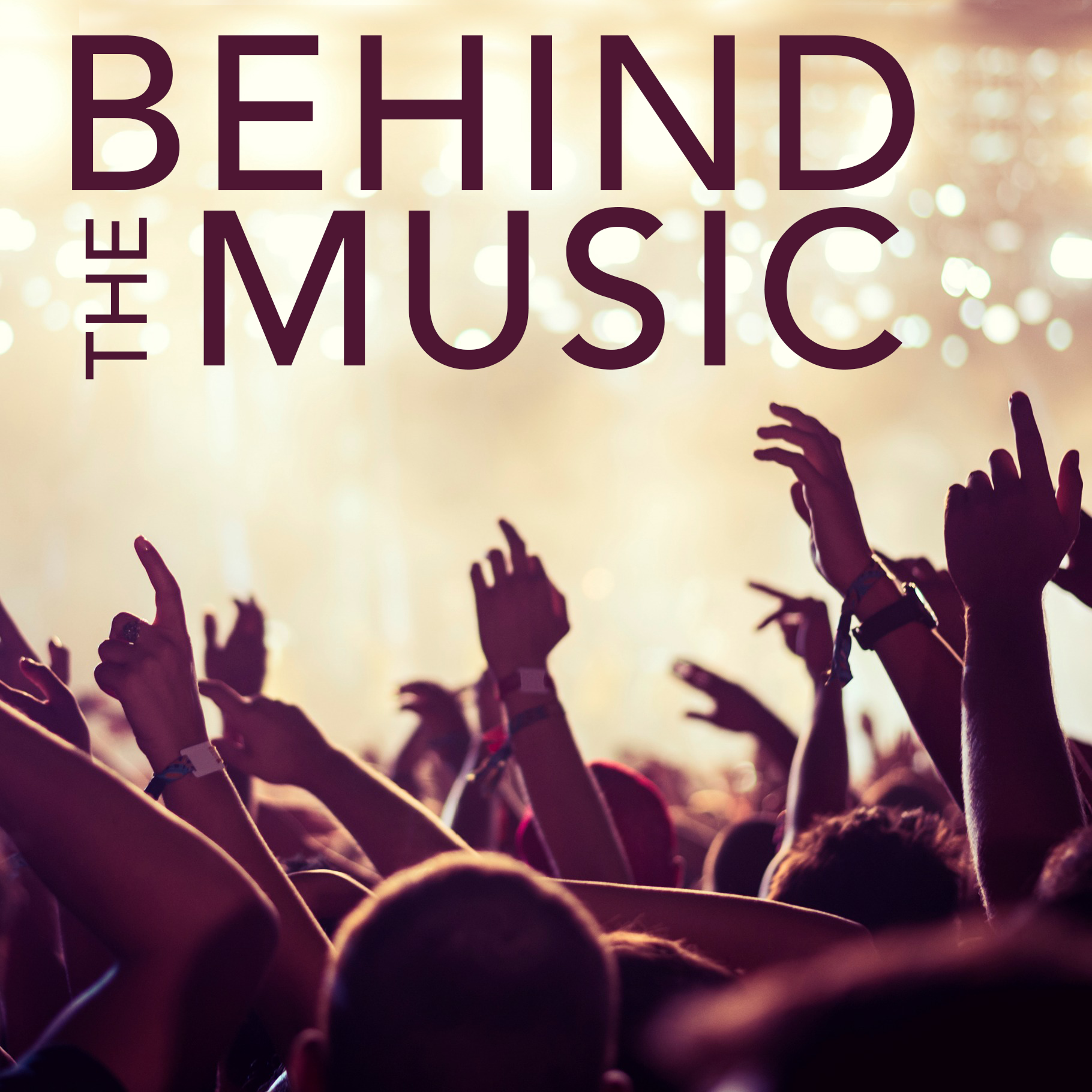 BehindMusic_d2.png