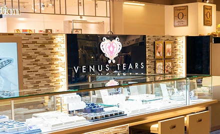 venus_ears_銀座.jpg