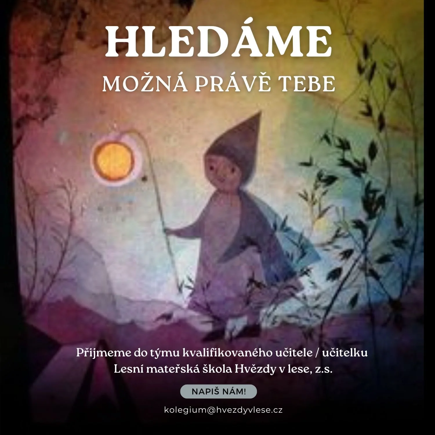 LMŠ Hvězdy v lese hledají učitele/ku