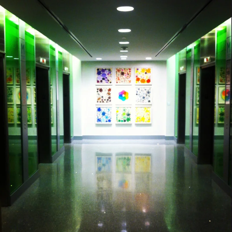 JOHNS HOPKINS HOSPITAL - 2013