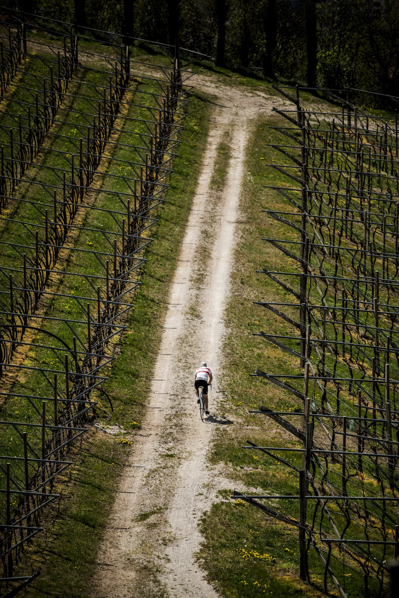 Francesco Moser_07.JPG