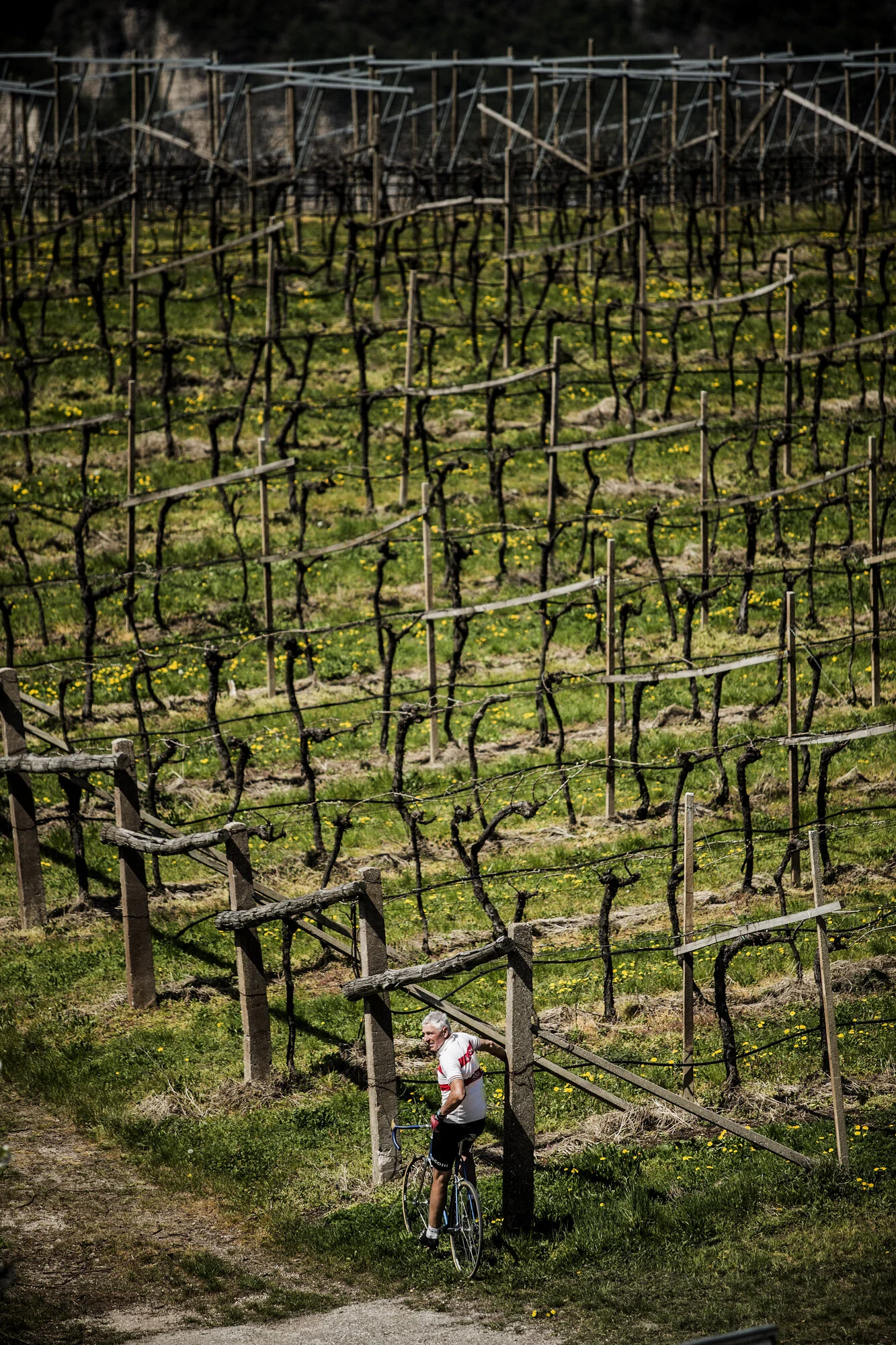 Francesco Moser_03.JPG