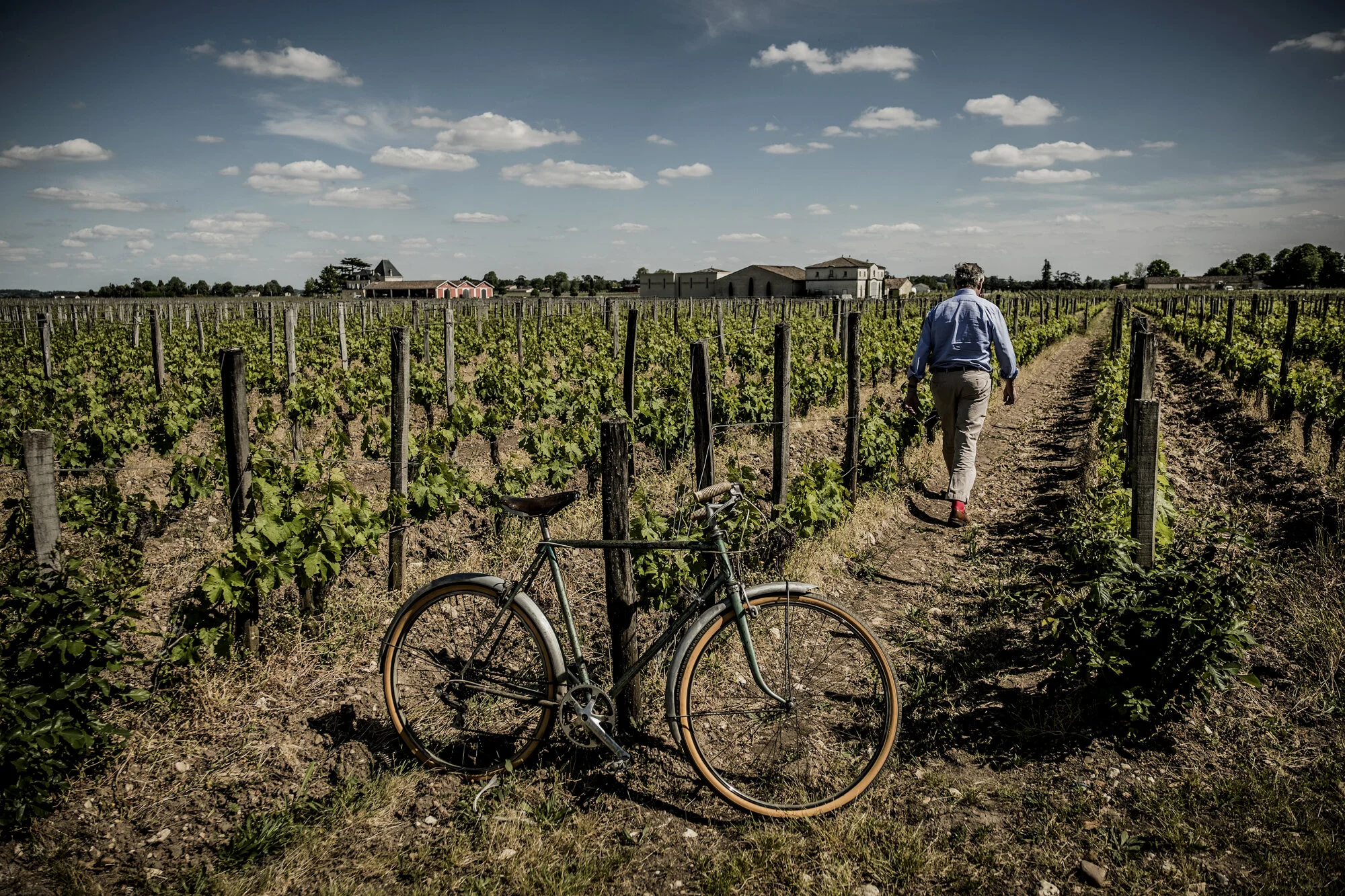 Jacques Thienpont_1.JPG