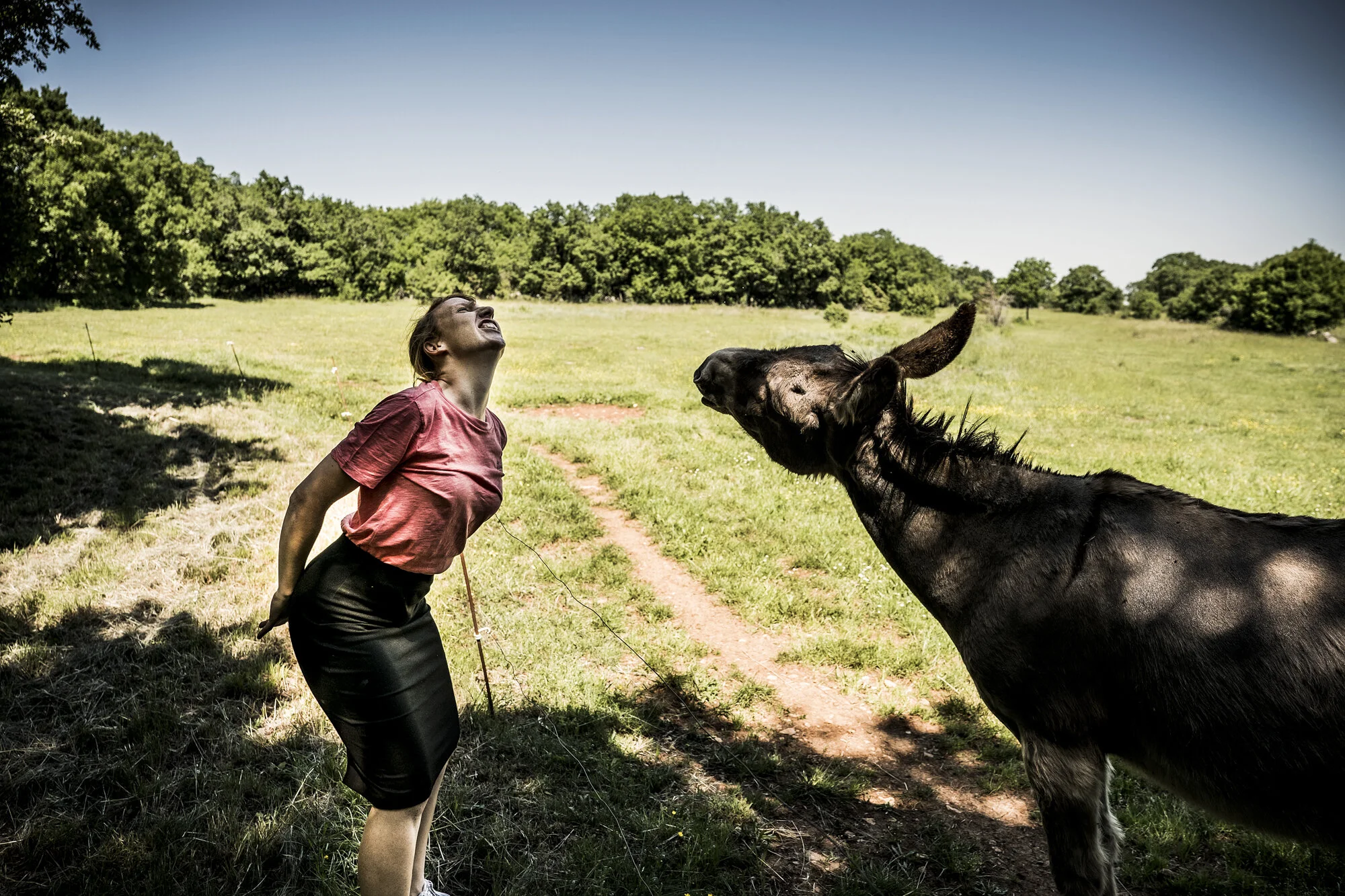 Linde Merckpoel_5_1.JPG