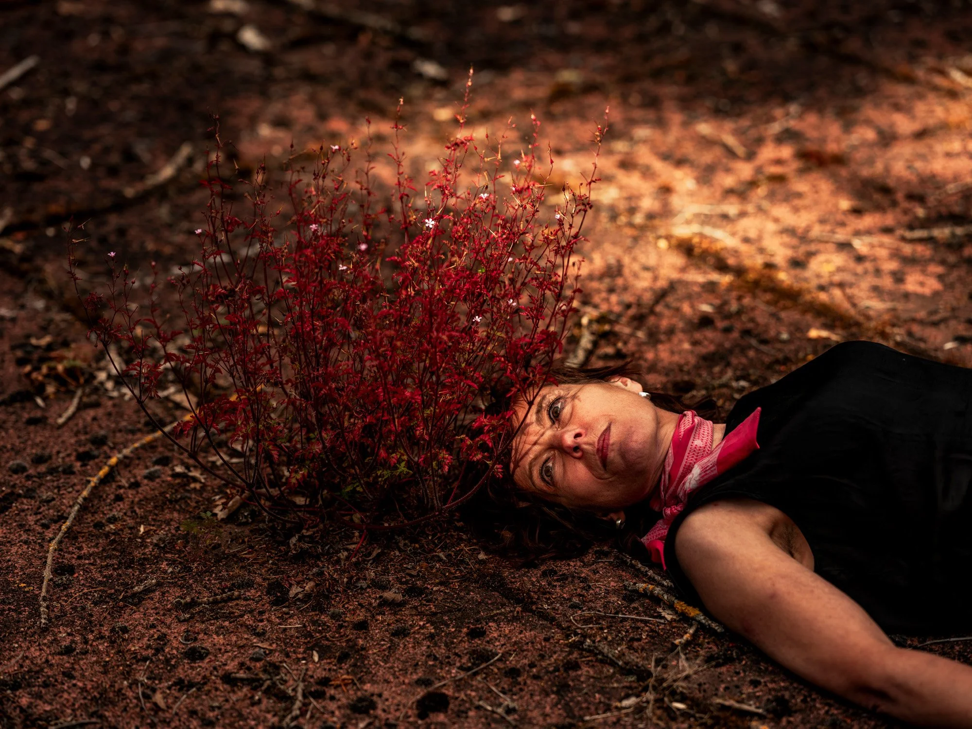 Gerda Dendooven_1.jpg