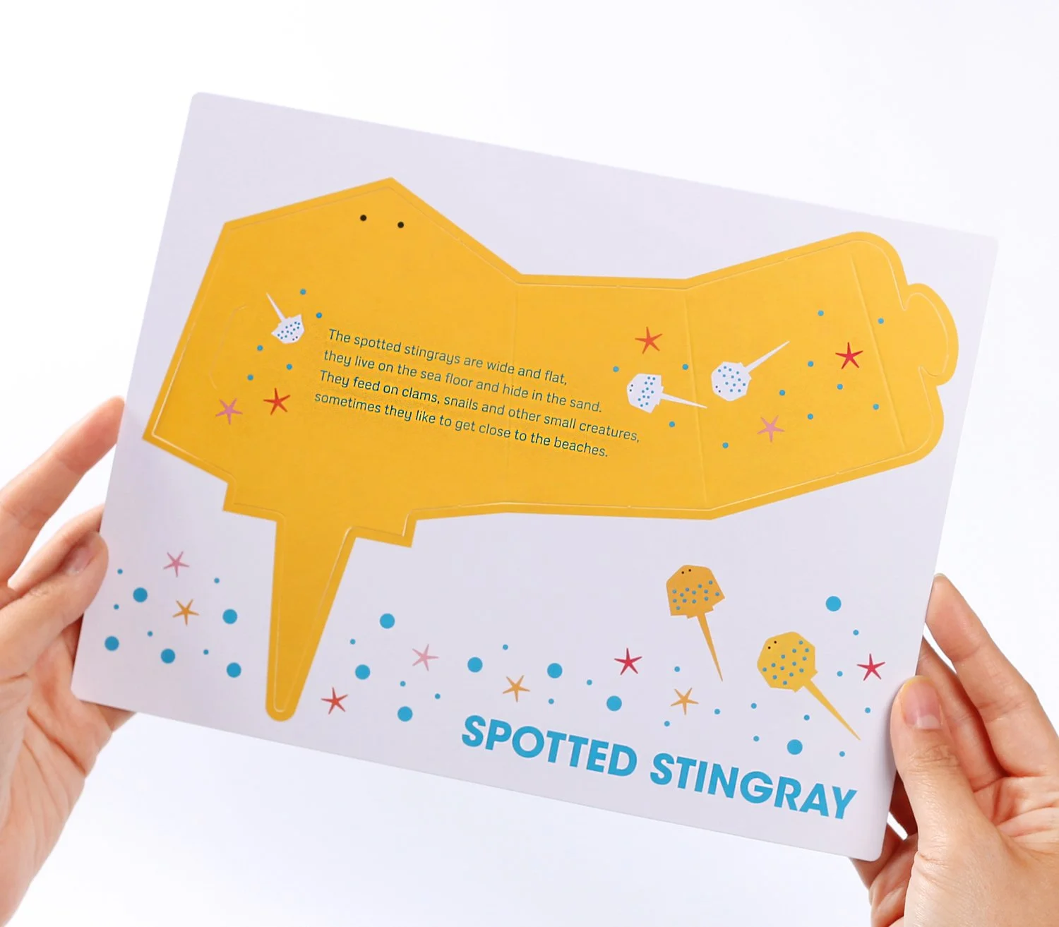 05-FISH-Owl and Dog Playbooks.jpg