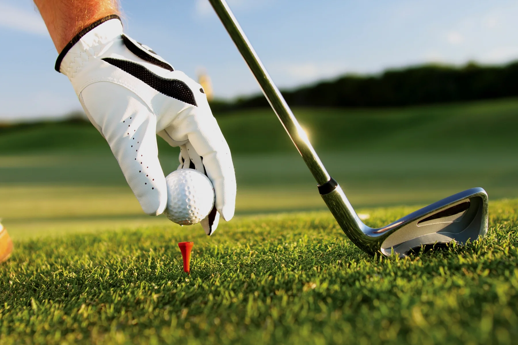 Golf1.jpg