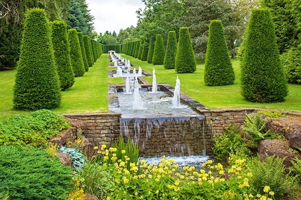 garden-1.jpg
