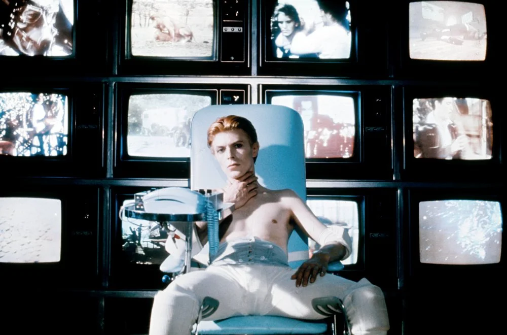 天外来客 The Man Who Fell to Earth (1976)