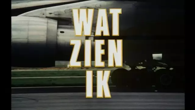在商言商 Wat zien ik? (1971)