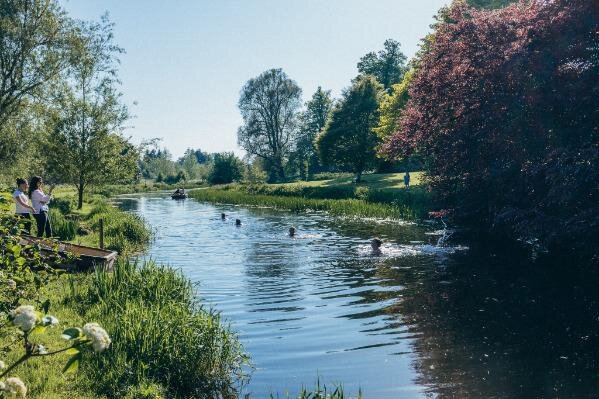 Wild Swimming in the lake (1).15693016218384.jpg