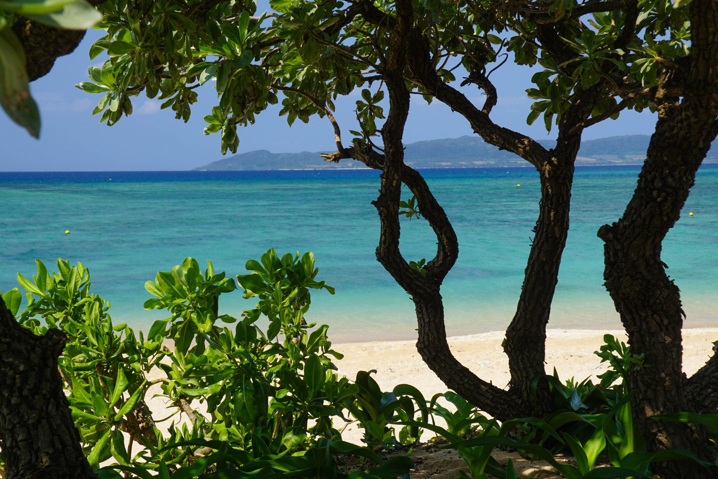 Reclaim-Yourself-Retreats-Okinawa-Japan00027-scaled.jpg