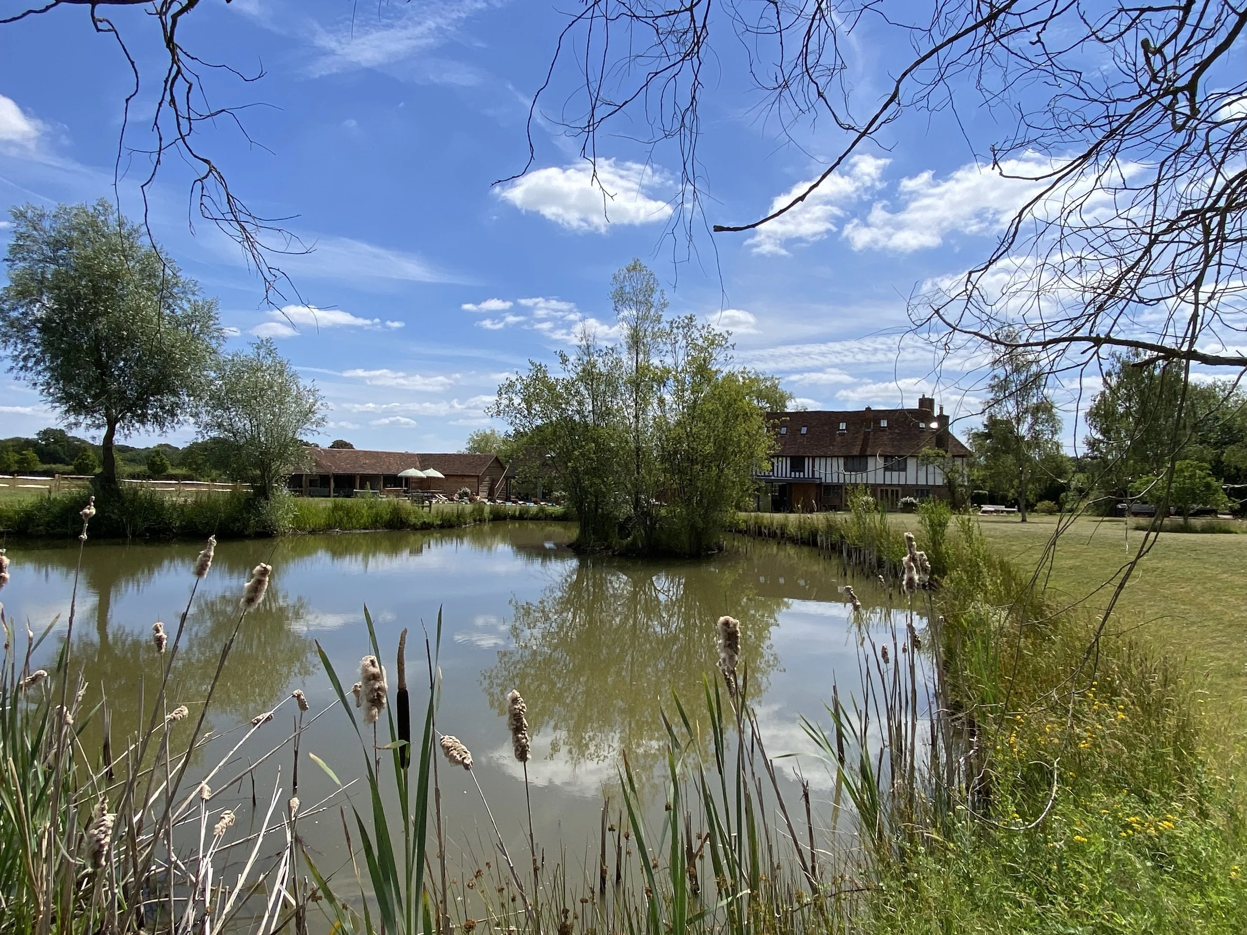 Rear Elevation over lake2 copy.jpeg