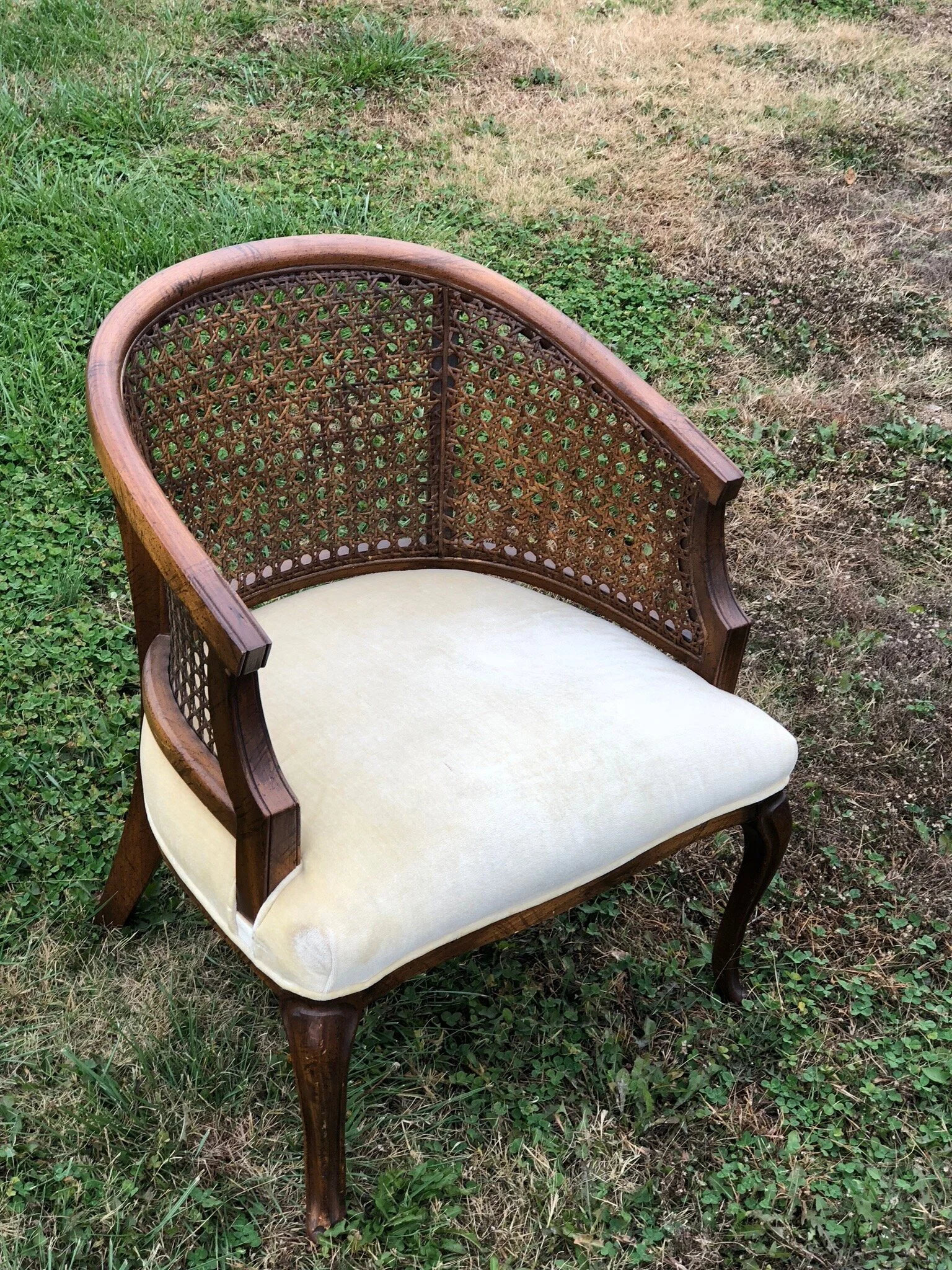 Cream Cane Chair