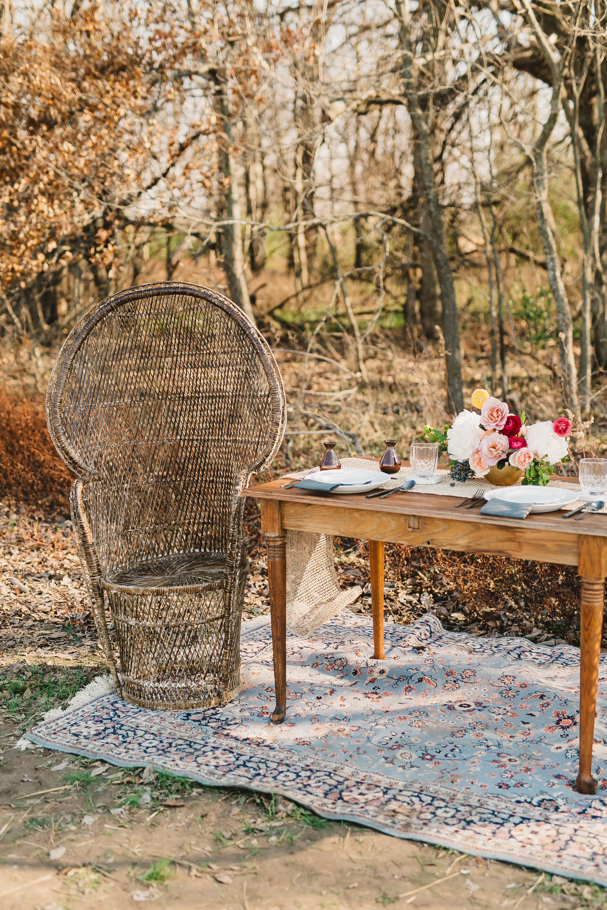Brown Peacock Chair.jpg
