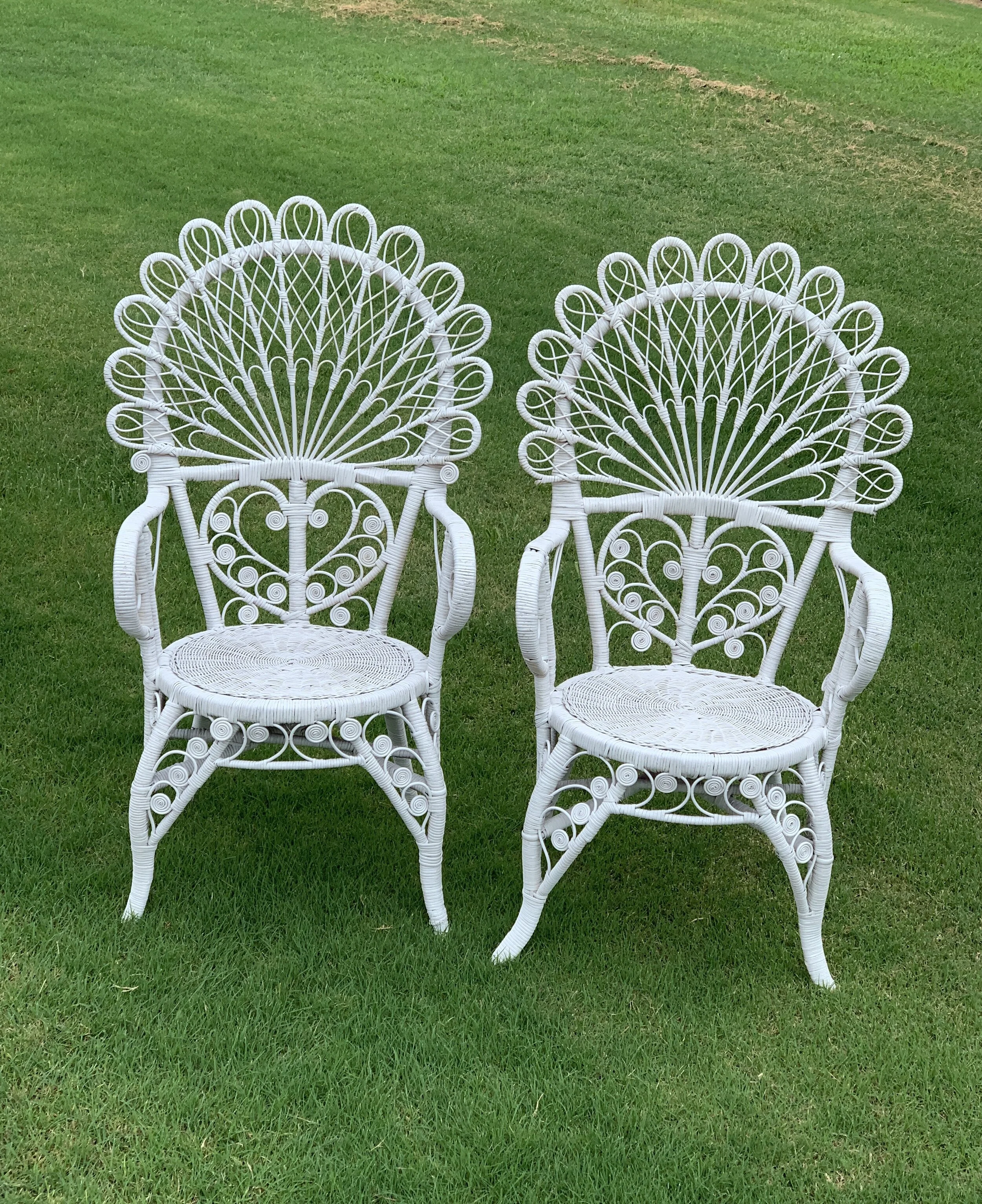 Peacock Chairs-Bella