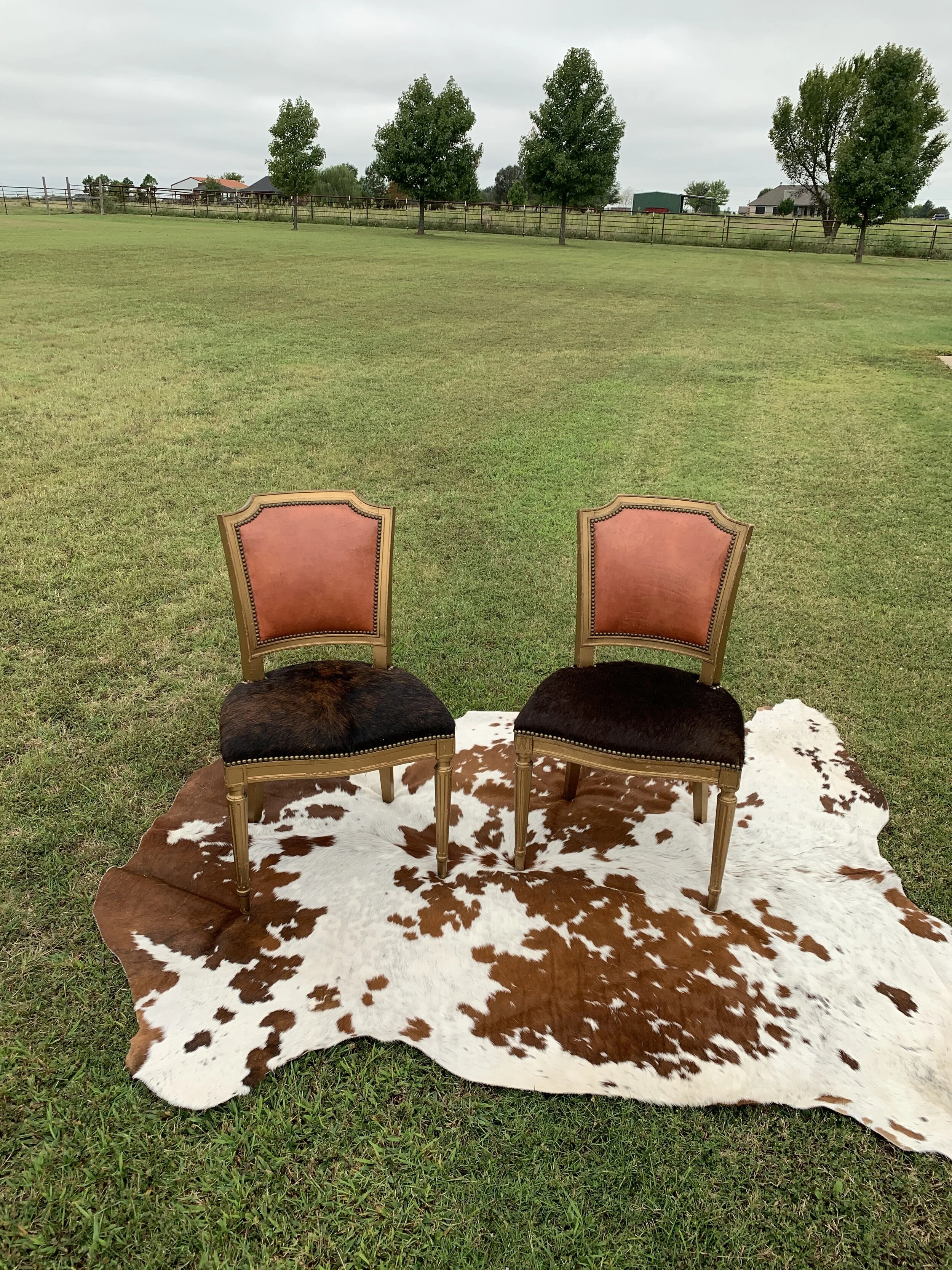 Leather Cowhide Chairs