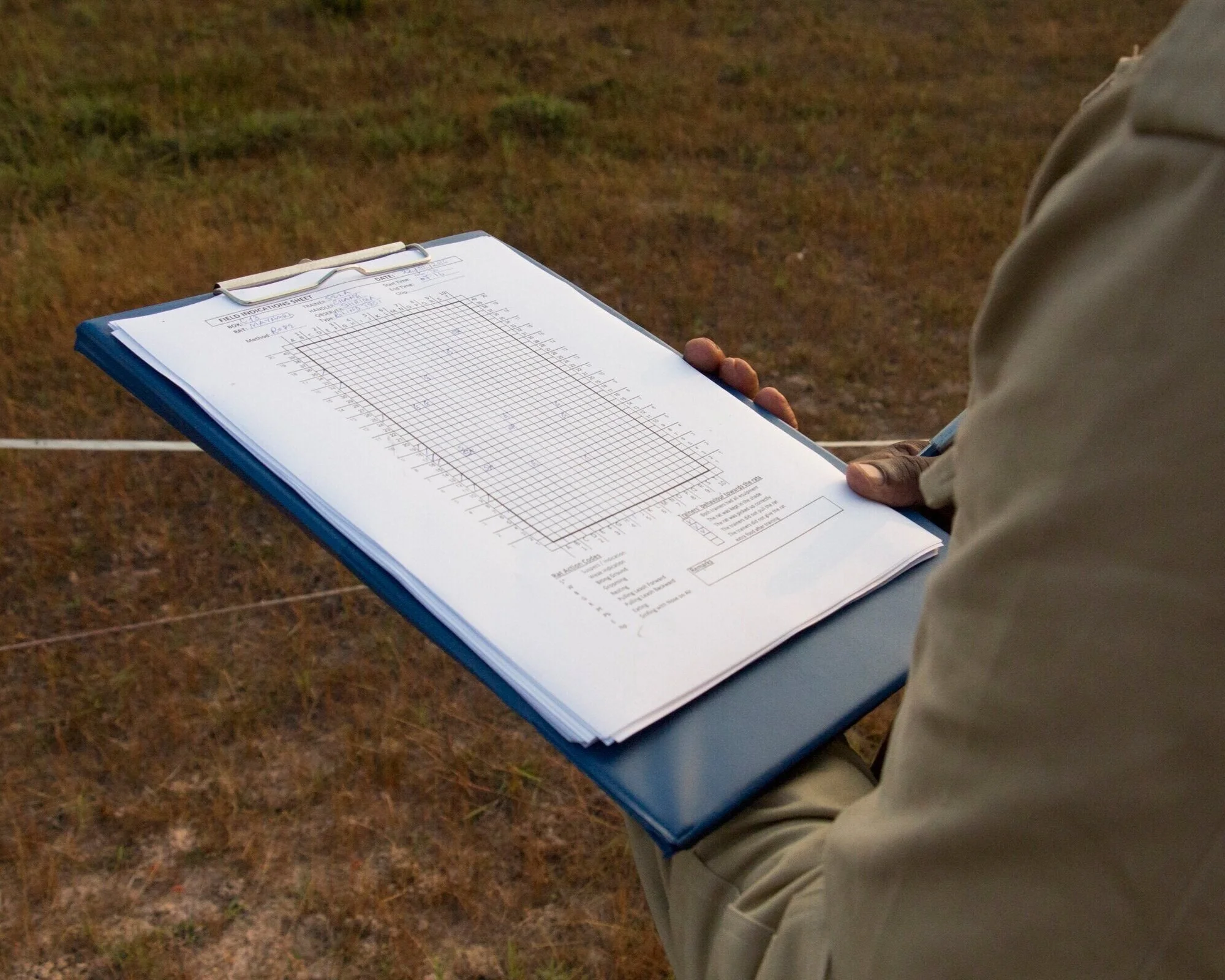  Tanzanian Shirima Vendeline marks the areas one of the rats trained by APOPO has detected explosive residue during a training exercise in Siem Reap, Cambodia, January 2016. 