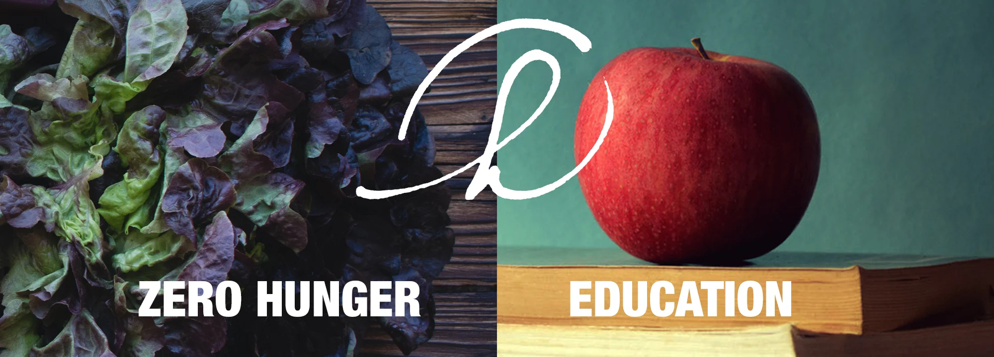 Haven Changemakers Workshop: Zero Hunger & Education
