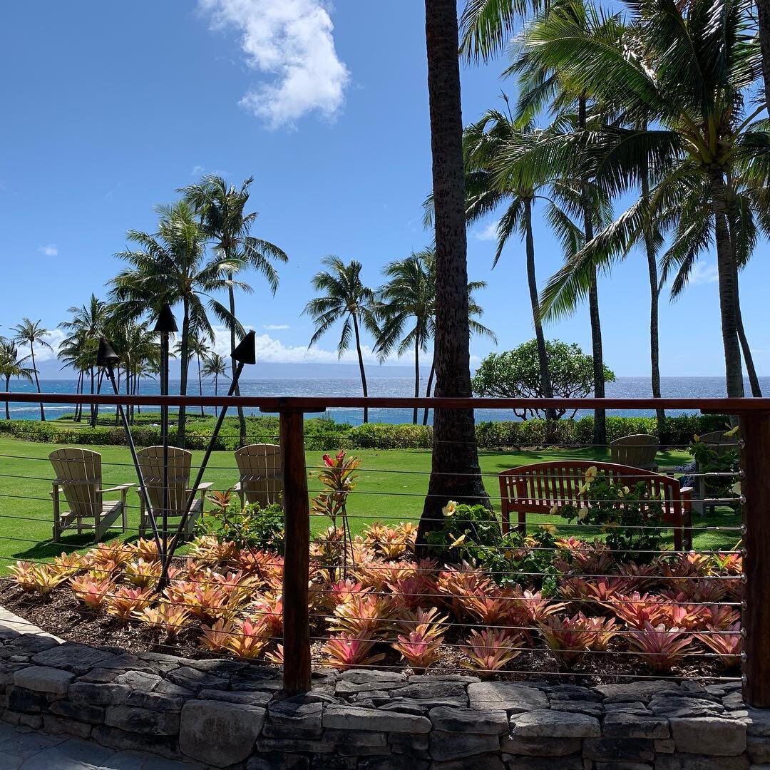 Lunch with a view @montagekapalua #jidenba #montagekapaluabay #montagehotels #maui #hawaii