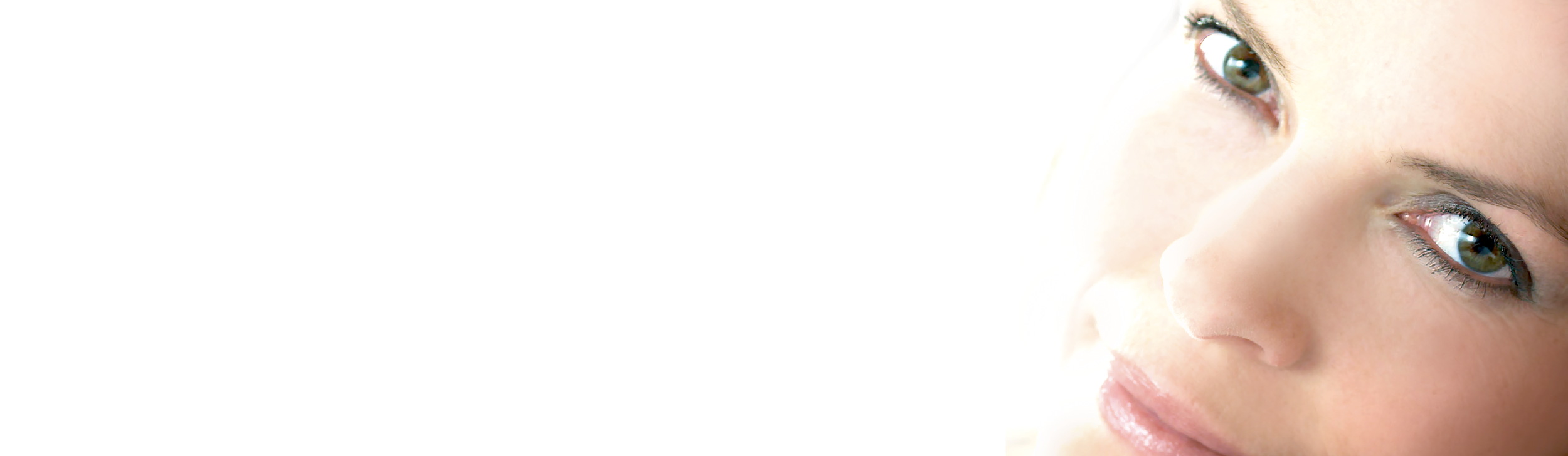 Header_NIV.png