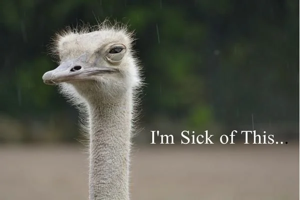 I'm Sick of This....
