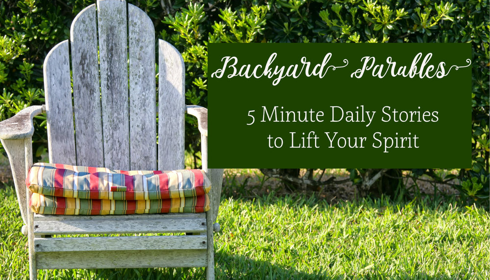 backyard parables.jpg