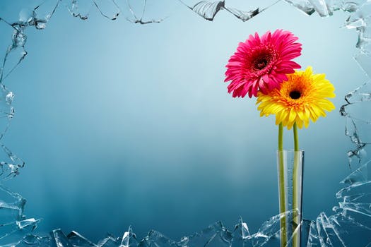 artwork-colorful-art-flowers-68604.jpeg