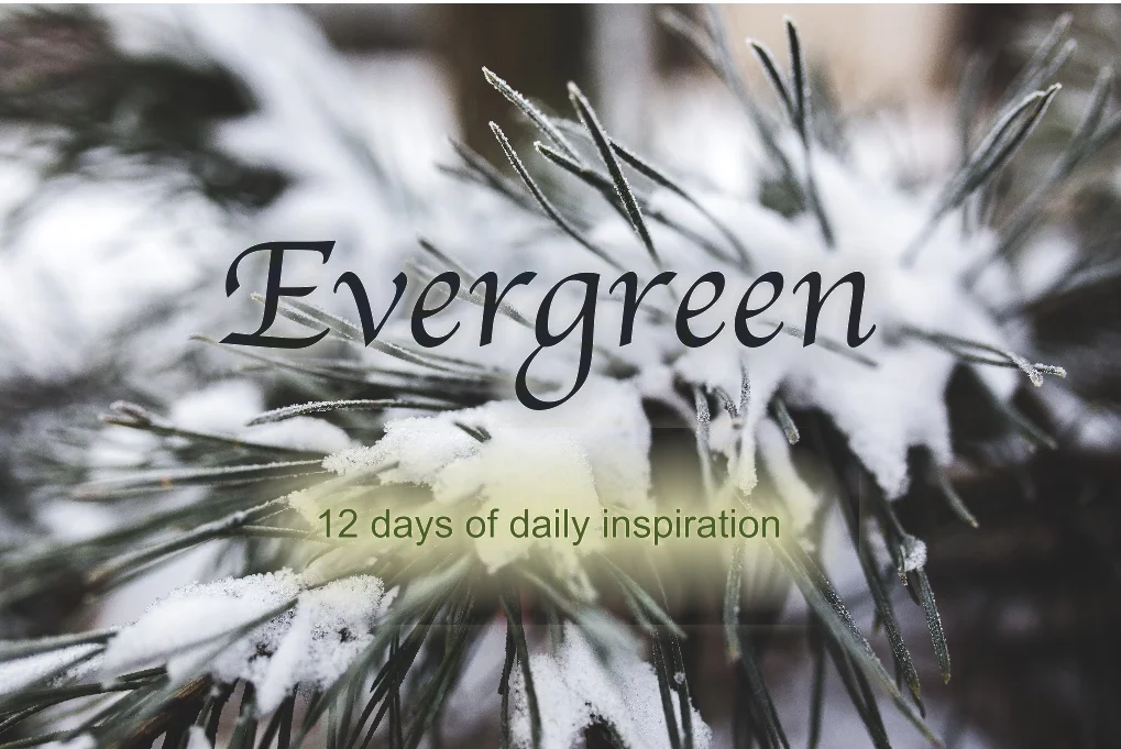 evergreen.jpg