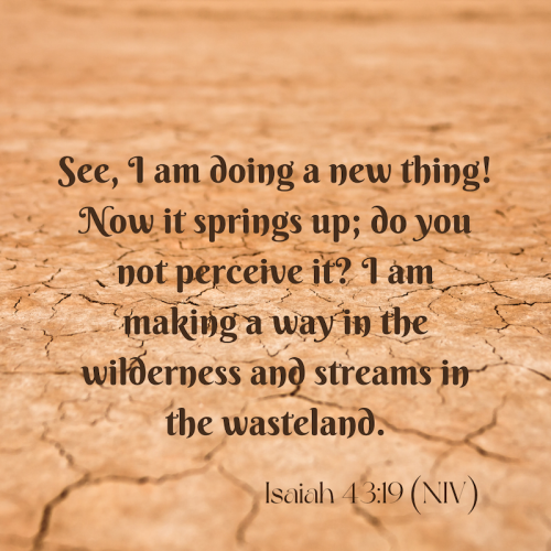 5271ffea-e870-5dc0-4321-c80ee9a7d6fa.png